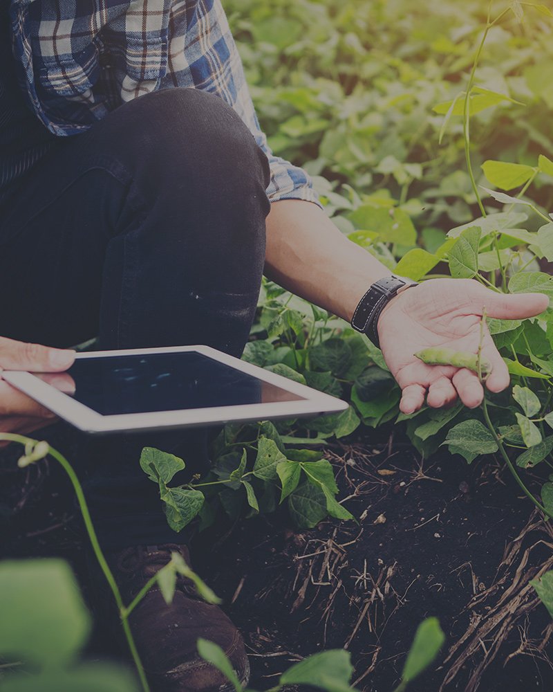 Agriculture